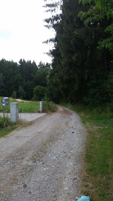 Waldgasthof - Hotel Schiederhof Wiesenfelden エクステリア 写真
